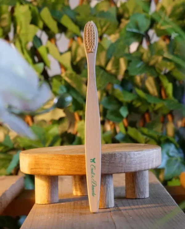 brosse a dent bambou