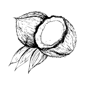 huile de coco