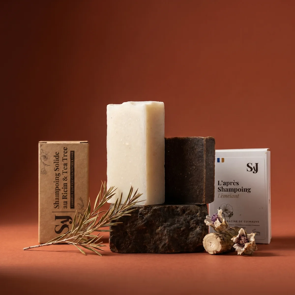 Duo Cheveux Gras | Shampoing & Après-Shampoing 1 Duo Cheveux Gras SAJ