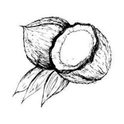huile de coco